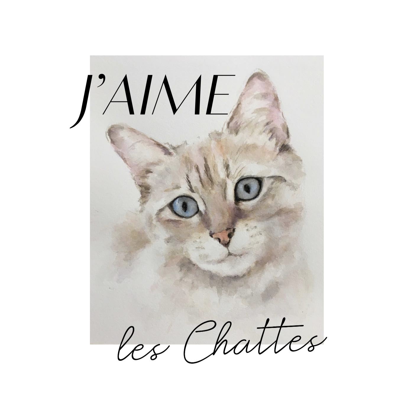 J'aime les chattes