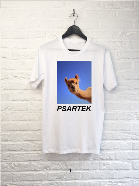 Psartek Alpaga-T shirt-Atelier Amelot